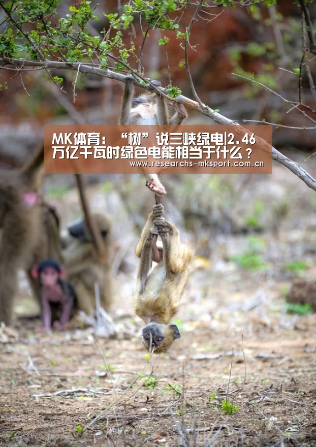 MK体育App官网入口 
