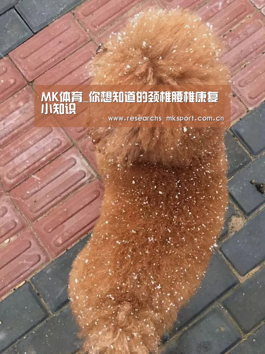 MK体育_你想知道的颈椎腰椎康复小知识(图3) MK体育