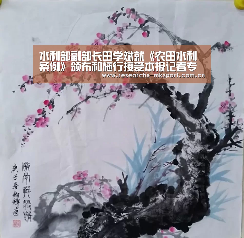  MK体育