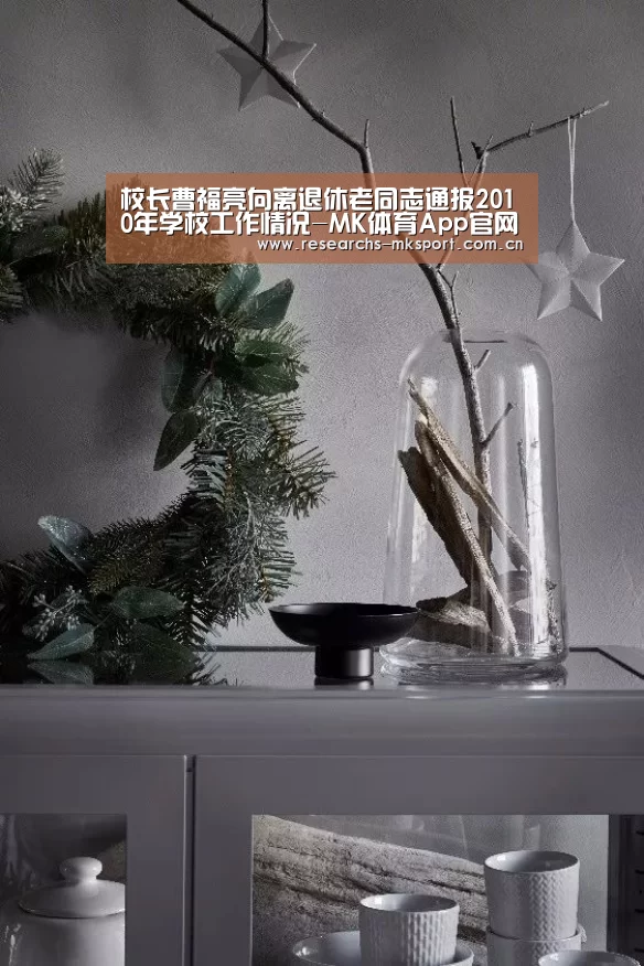 校长曹福亮向离退休老同志通报2010年学校工作情况-MK体育App官网入口 (图2) MK体育