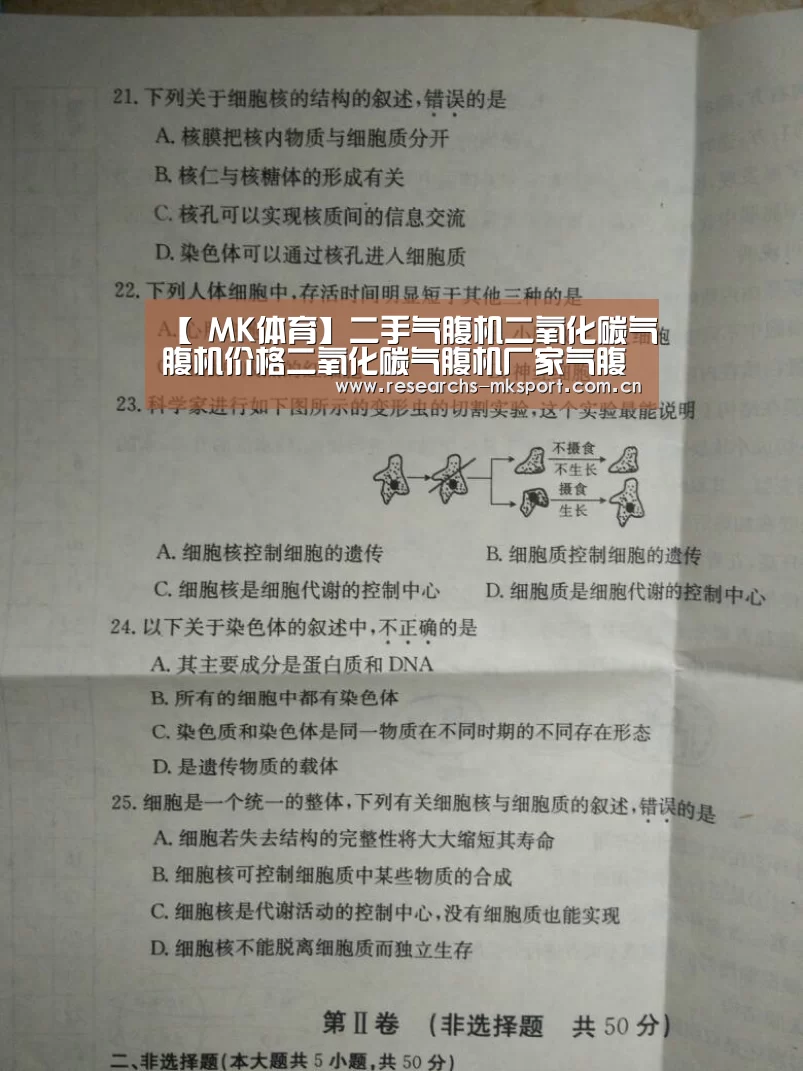  MK体育
